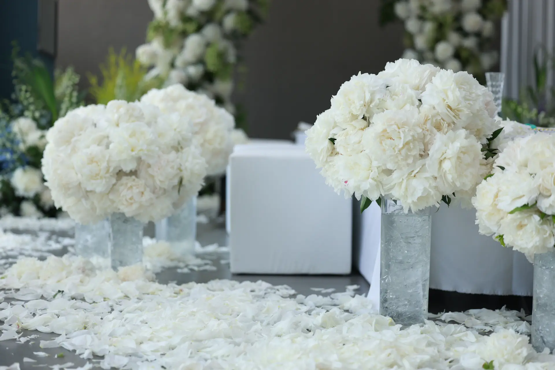 Floral gallery preview