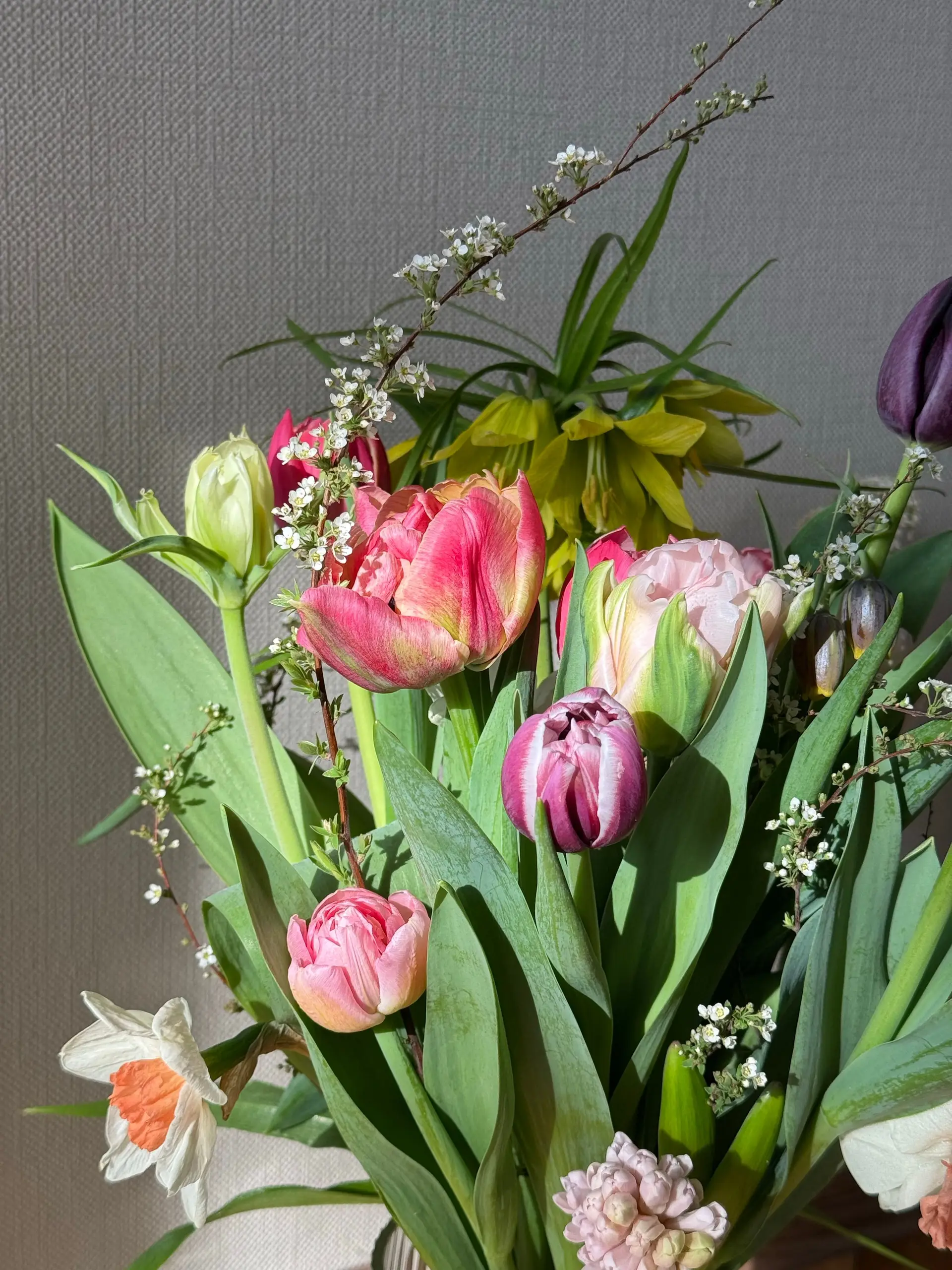 Spring Garden Collection