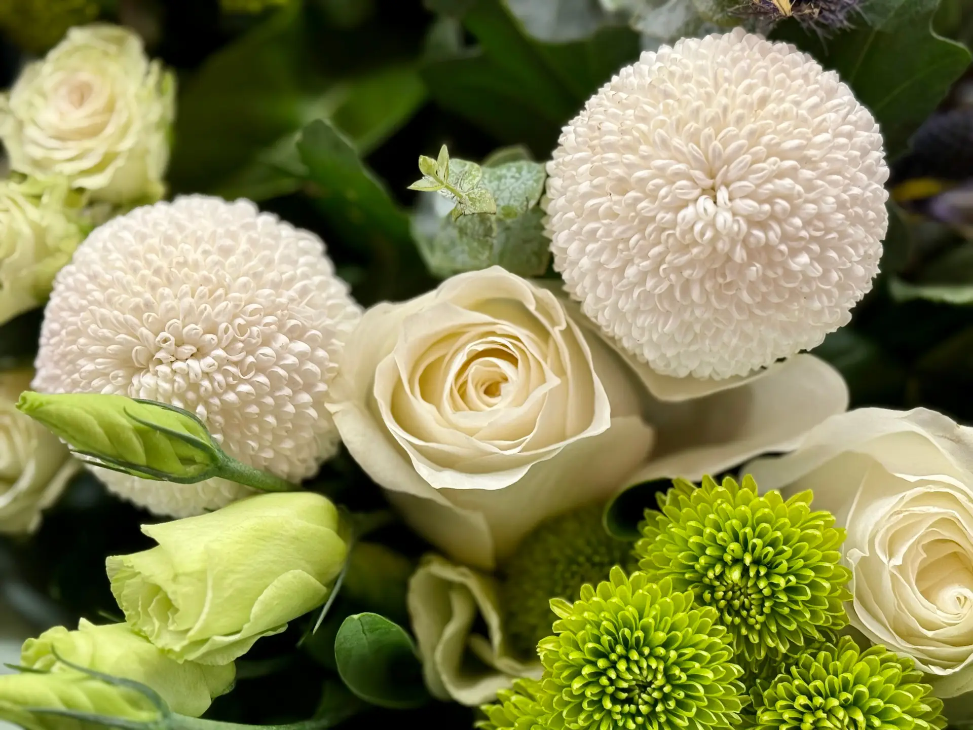 Lush white rose bouquet