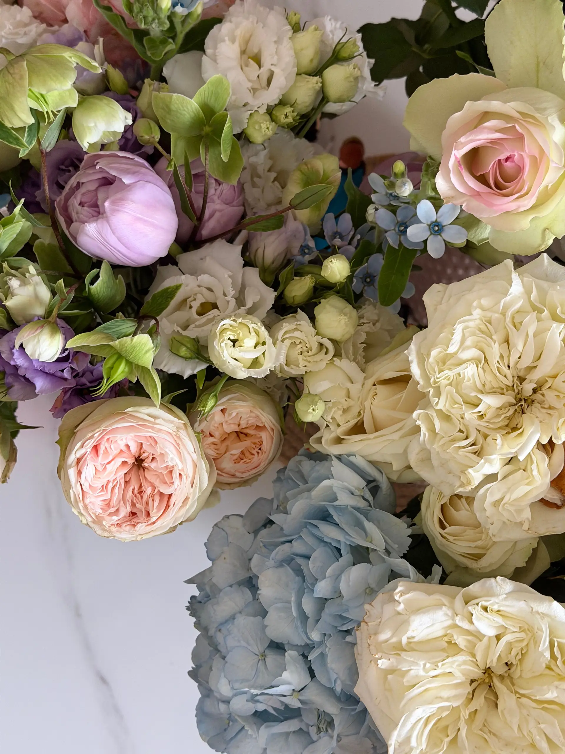 Summer Meadow Collection