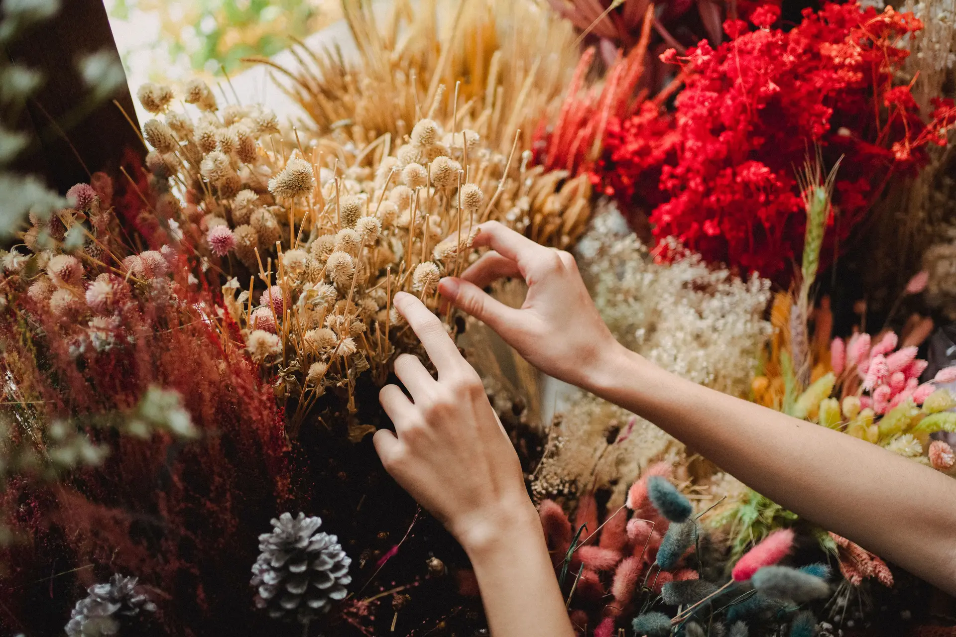Close up of florist selecting dried decorative plants
