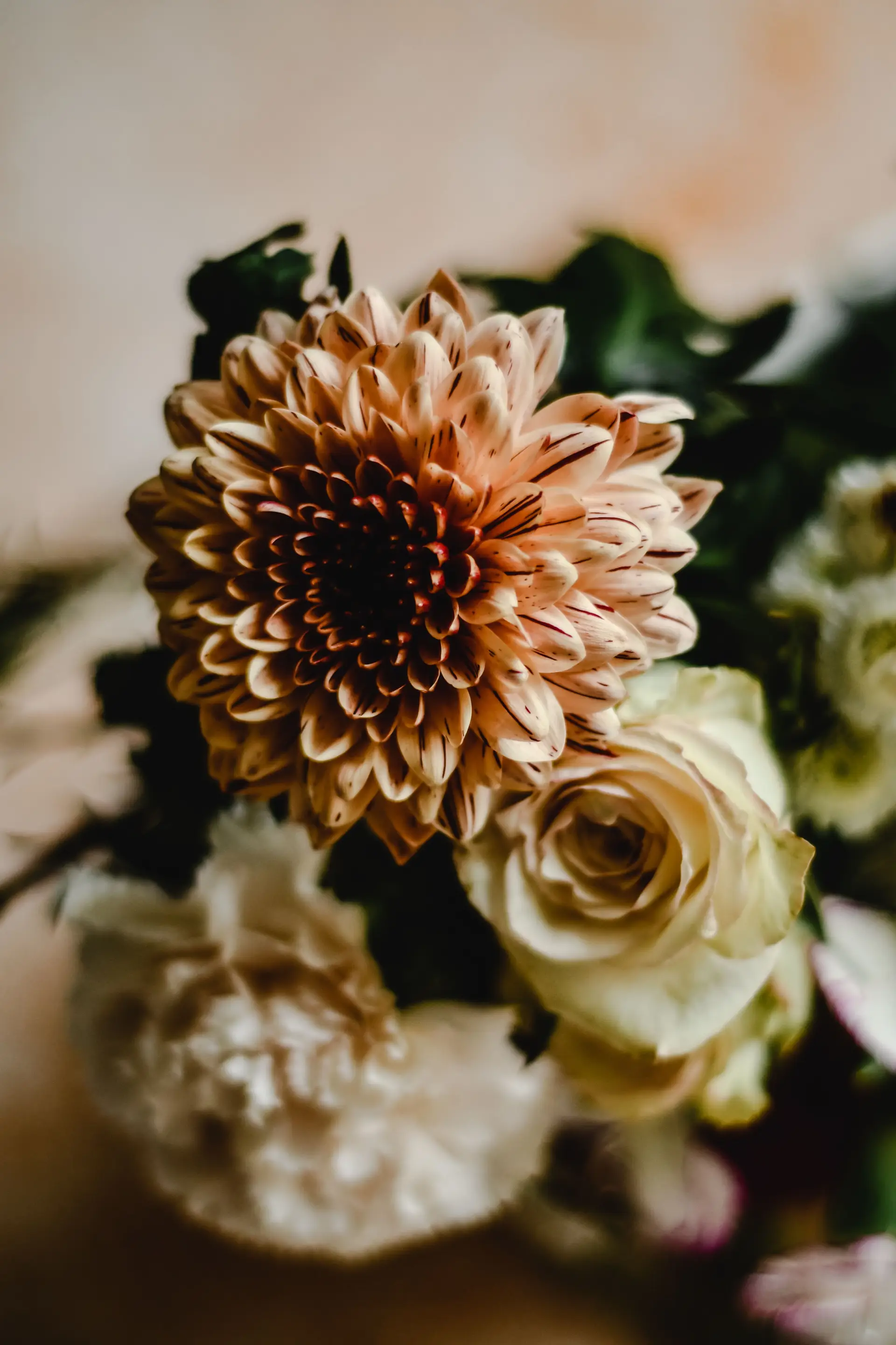 Chrysanthemum and rose highlight