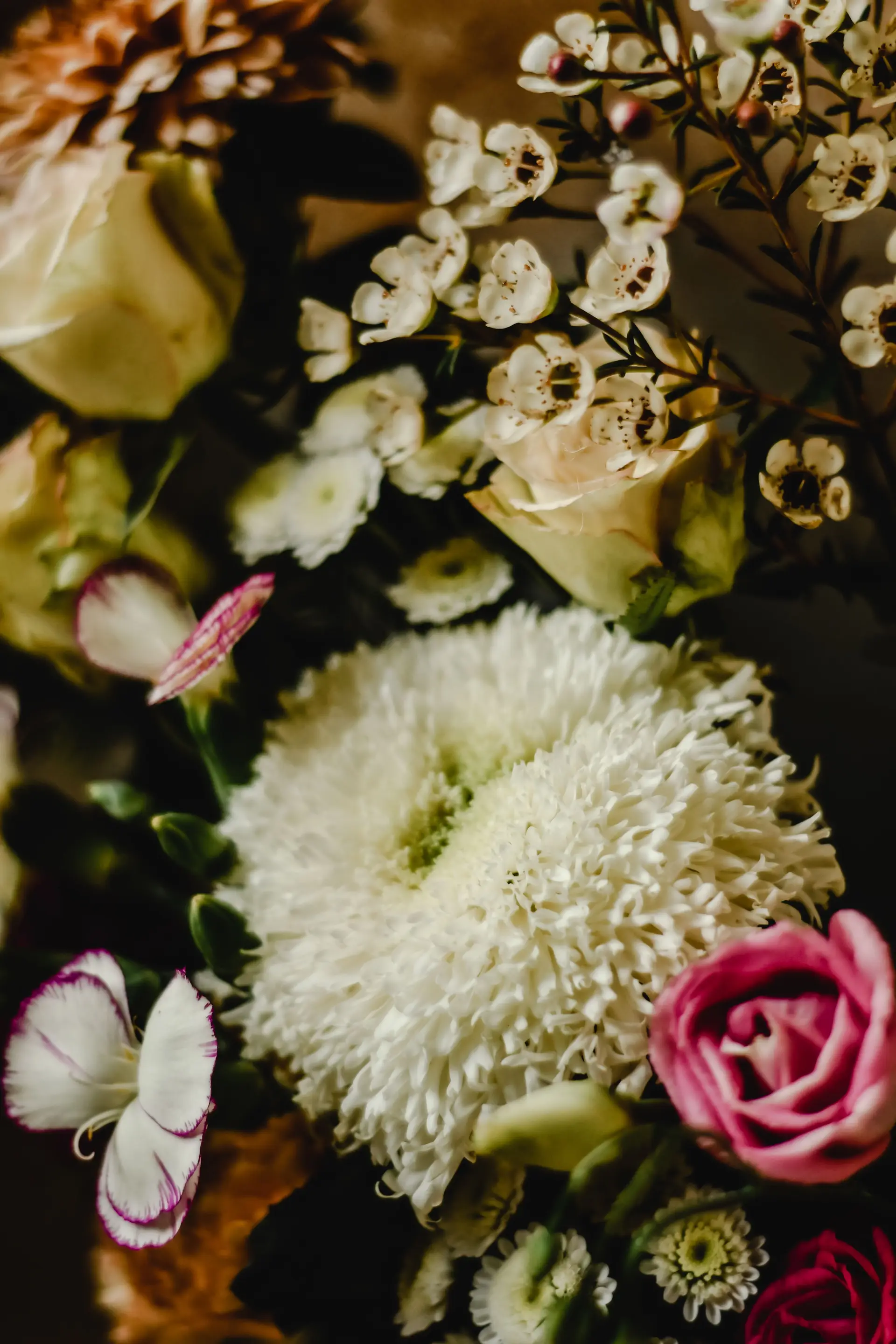 Vibrant flowers in full bloom